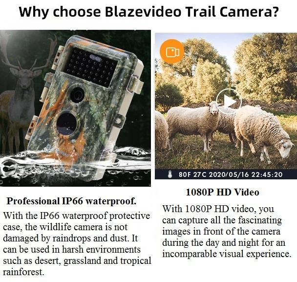 Wildlife Trail Camera with No Glow Night Vision 0.1S Trigger Motion Activated 24MP 1296P IP66 Waterproof for Hunting & home security