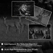 2-Pack Wildlife Trail Camera with Night Vision 0.1S Trigger Motion Activated 24MP 1296P IP66 Waterproof for Hunting & home security | A323