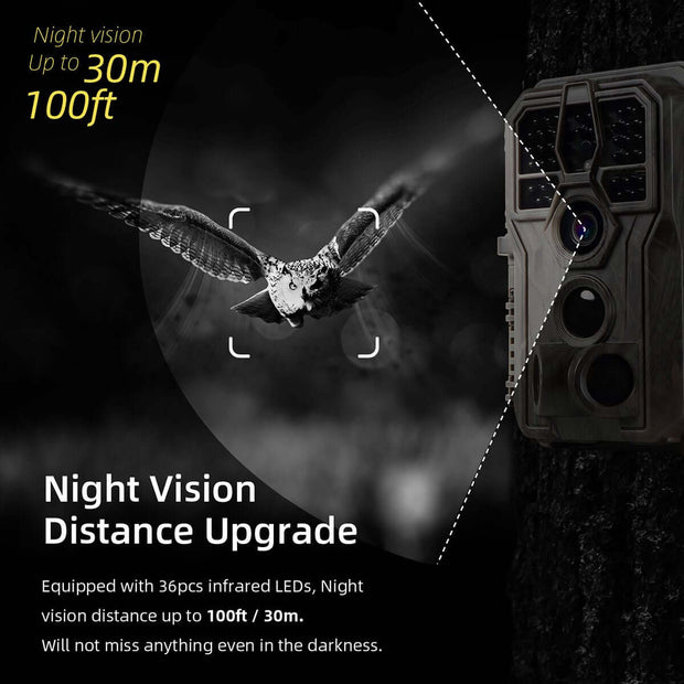 2-Pack Wildlife Camera Trail Camera with Night Vision Motion Activated 0.1S Trigger Speed 24MP 1296P IP66 Waterproof Scouting Cam for & Hunting Wildlife | A252 Winter Forest